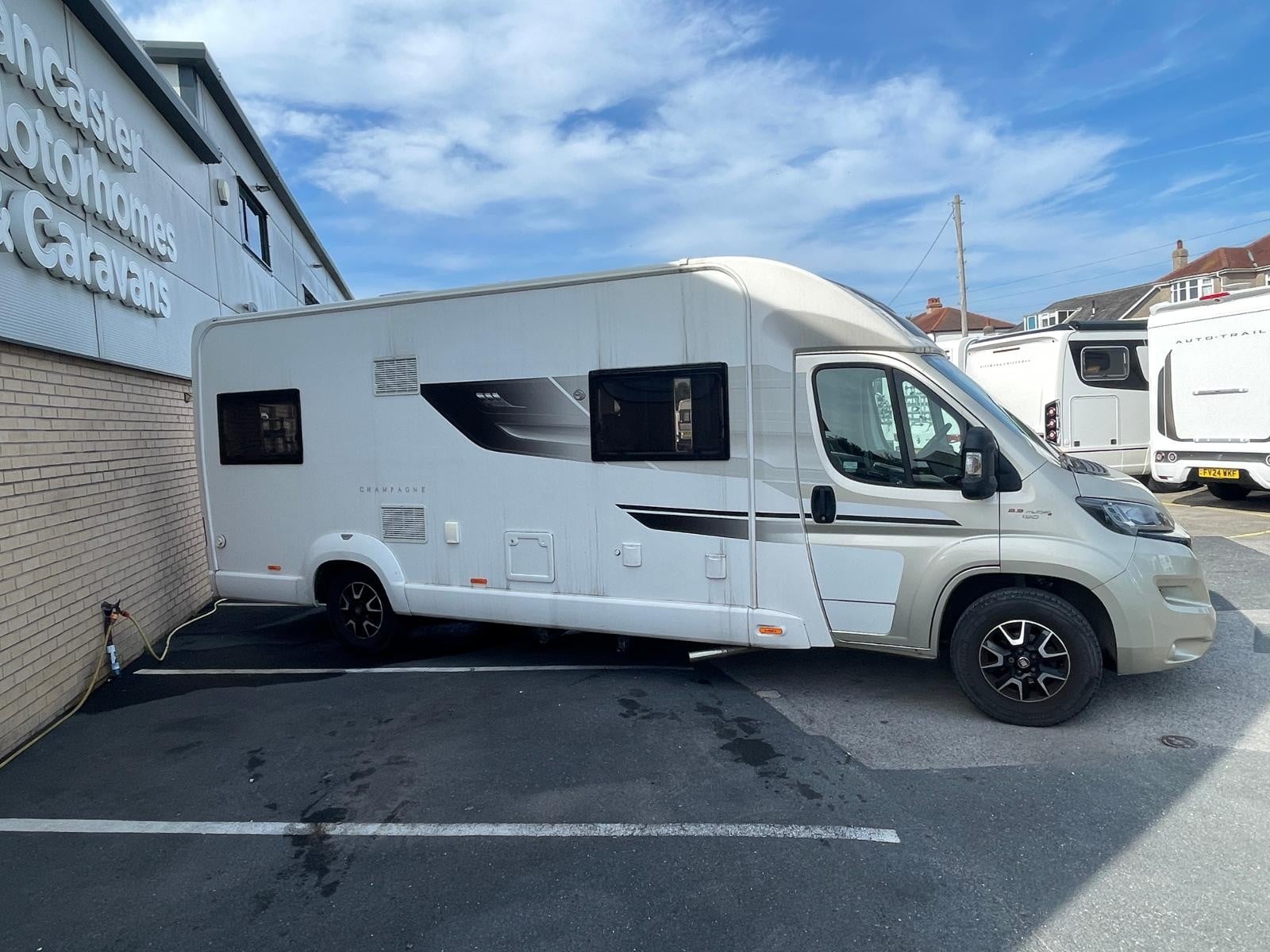 Swift Champagne 674 - Image 5